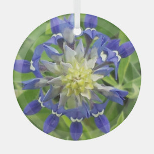 Ornamento de Texas Bluebonnet