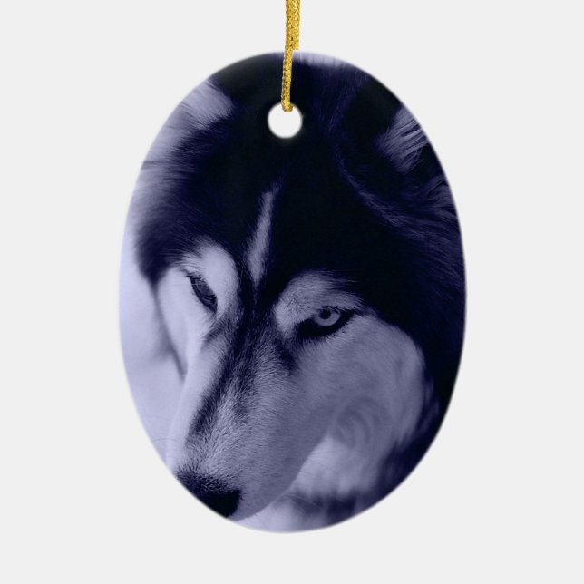 Ornamento de tinte azul Husky Siberiano (Frente)