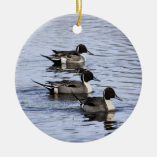 Ornamento de trío de pato pintail