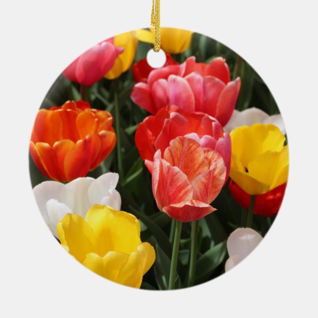 Ornamento de tulipán (Atrás)