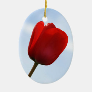 Ornamento de tulipán rojo