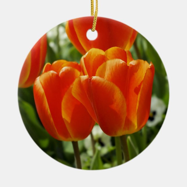 Ornamento de Tulips (Frente)
