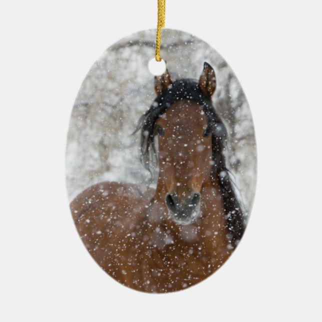 Ornamento de vacaciones de caballos de Stallion (Frente)