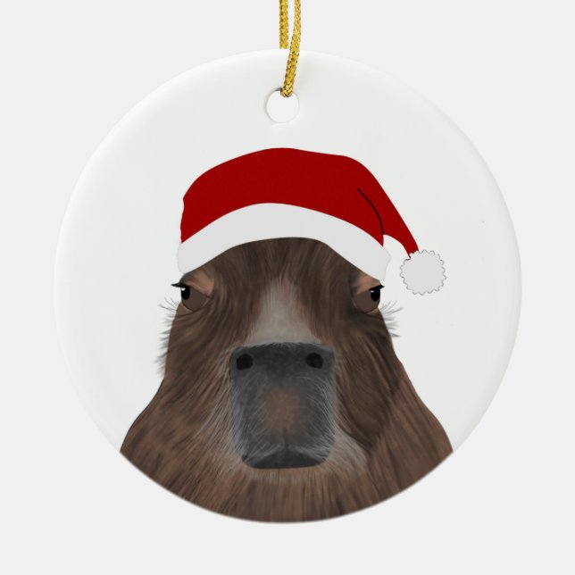 Ornamento de vacaciones de Capybara (Frente)