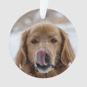 Ornamento de vacaciones de perro personalizado   M