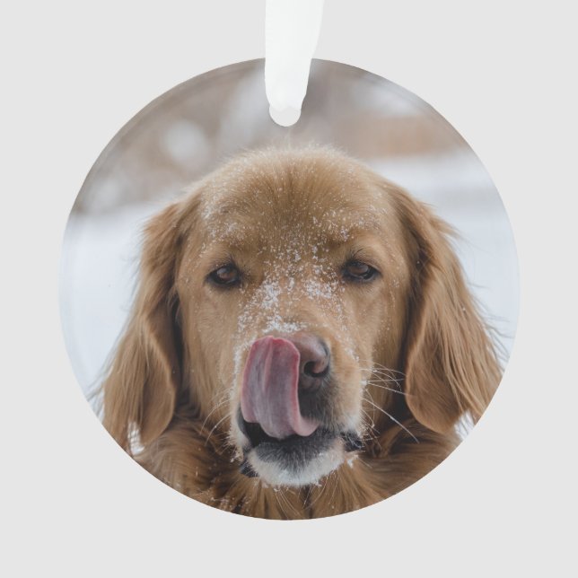 Ornamento de vacaciones de perro personalizado | M (Anverso)