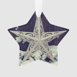 Ornamento de vacaciones de Silvery Star