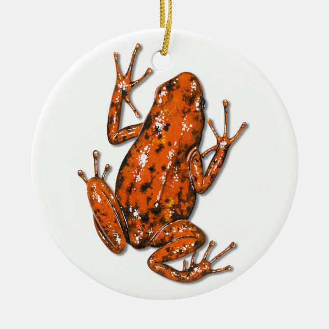 Ornamento de veneno Dart Frog (Frente)