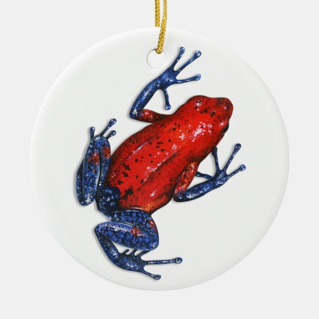 Ornamento de veneno Dart Frog (Frente)