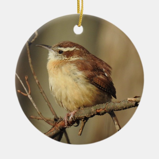 Ornamento de vida silvestre, (Frente)