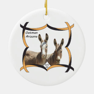 Ornamento de vida silvestre, burros, Oatman, Arizo