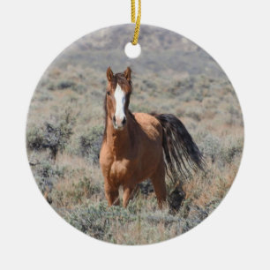 Ornamento de vida silvestre, caballos salvajes