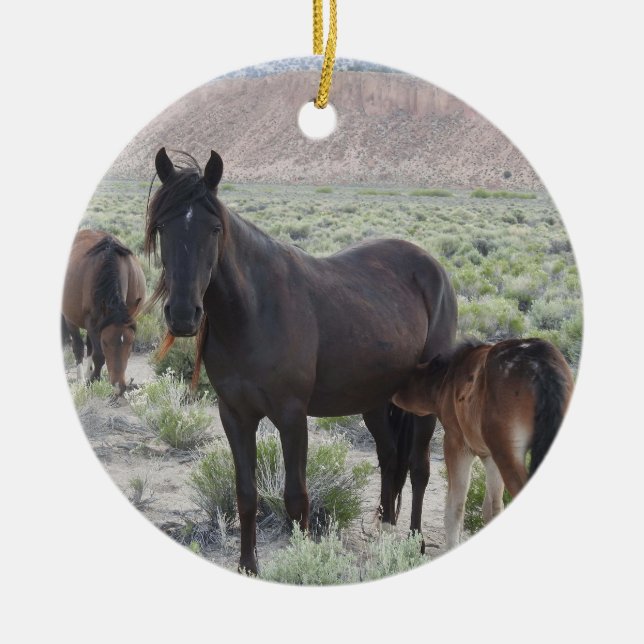 Ornamento de vida silvestre, caballos salvajes, na (Frente)