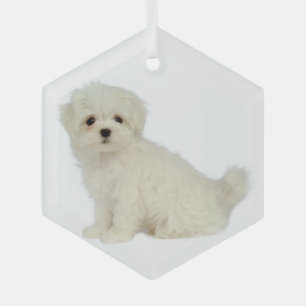 Ornamento de vidrio animal de Mascota de perro mal