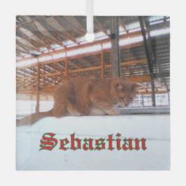 Ornamento de vidrio para gato personalizado