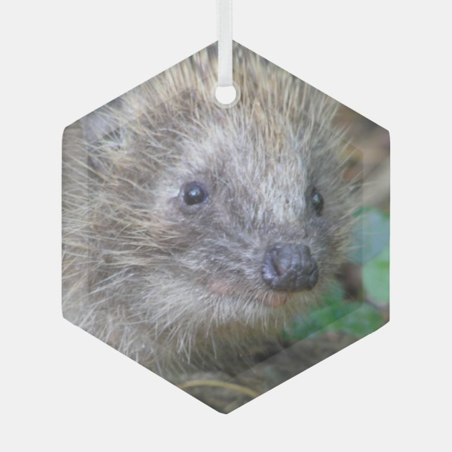 Ornamento de vidrio para Navidades Cute Hedgehog (Anverso)