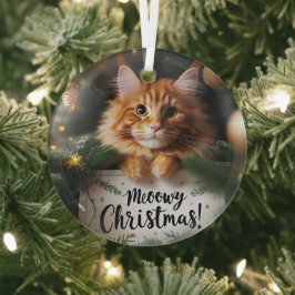 Ornamento de vidrio para Navidades de Maine Coon K
