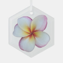 Ornamento de vidrio Plumeria Bloom