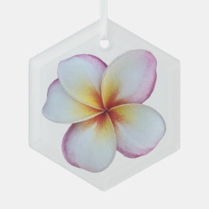 Ornamento de vidrio Plumeria Bloom