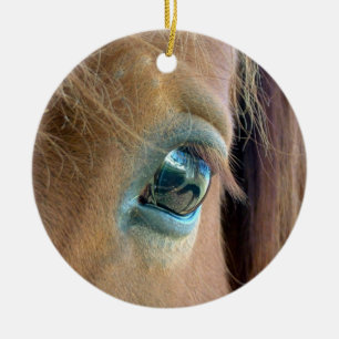 Ornamento de Vision del caballo