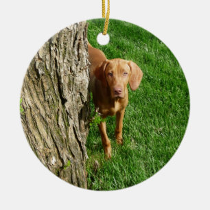 Ornamento de Vizsla