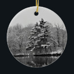 Ornamento de Winter Wonderland<br><div class="desc">Este adorno cuenta con una fotografía en blanco y negro que muestra la belleza de los árboles verdes junto a un lago en un día de invierno nevado. Transmite la paz y tranquilidad que viene con una fresca manta de nieve y la tierra de hadas que crea — ¡verdaderamente un...</div>