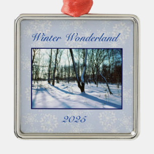 Ornamento de 'Winter Wonderland' 2025