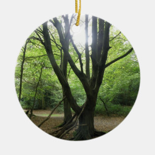 Ornamento de Woodland Sunshine