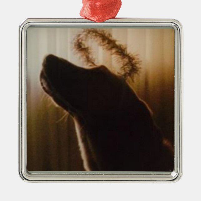 Ornamento de Yellow Lab Angel por Willowcatdesign (Frente)