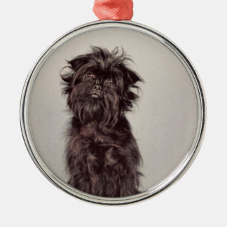 Ornamento del Affenpinscher