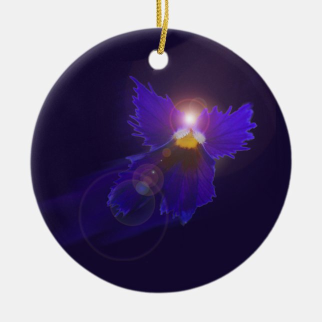 Ornamento del ángel del jardín (Frente)