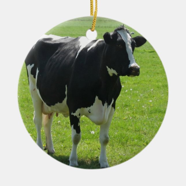 Ornamento del animal del campo de la vaca (Frente)