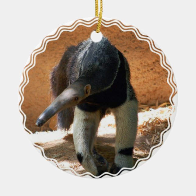 Ornamento del Anteater (Frente)