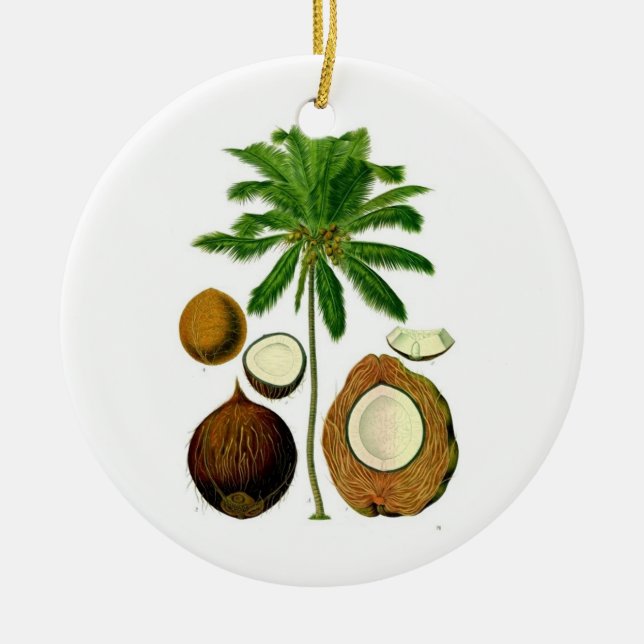 Ornamento del árbol de coco (Frente)