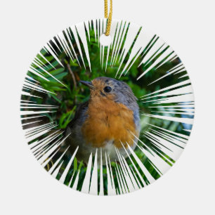 Ornamento del árbol de Navidad Robin