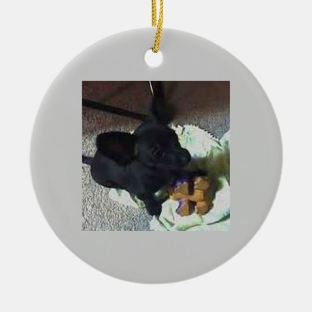 ORNAMENTO DEL BEBÉ POKEMON (Frente)