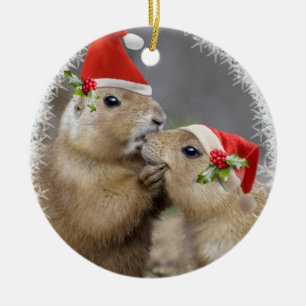 Ornamento del beso del navidad