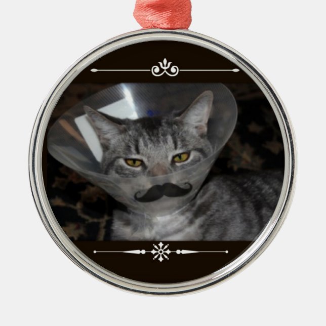 Ornamento del bigote de Ferris Mewler (Frente)