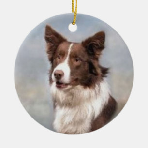 Ornamento del border collie