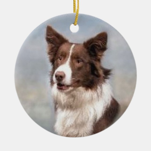 Ornamento del border collie (Frente)