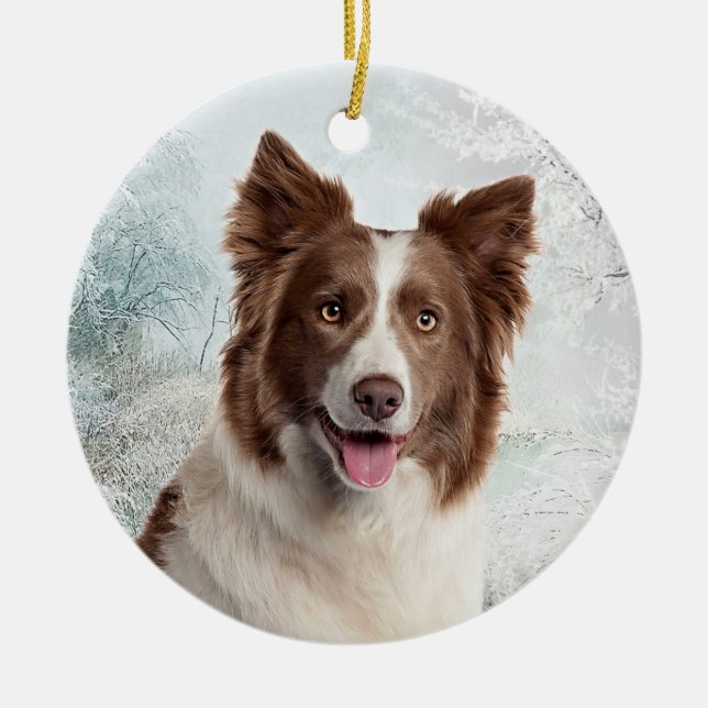 Ornamento del border collie del chocolate (Frente)