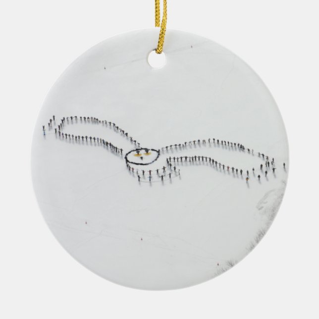 Ornamento del búho Nevado (Frente)