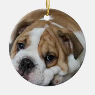 Ornamento del bulldog el dormir