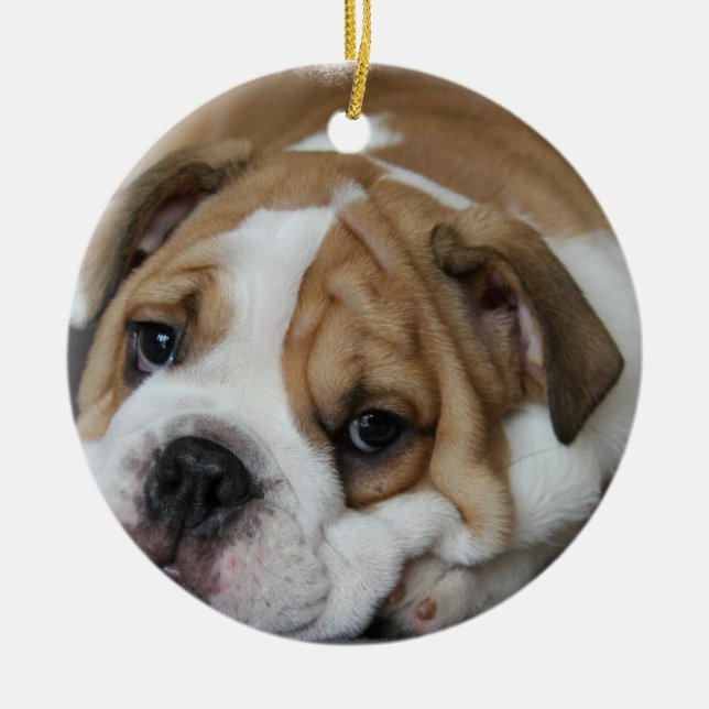 Ornamento del bulldog el dormir (Frente)