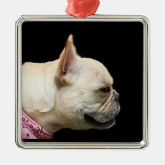 Ornamento del bulldog francés