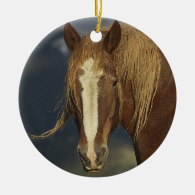 Ornamento del caballo de proyecto (Frente)