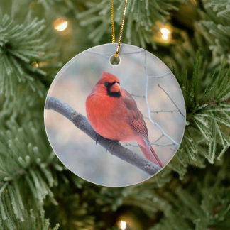 Ornamento del Cardenal Creek