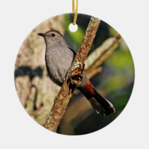 Ornamento del Catbird gris