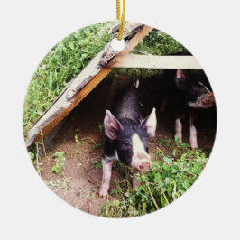 Ornamento del cerdo del navidad