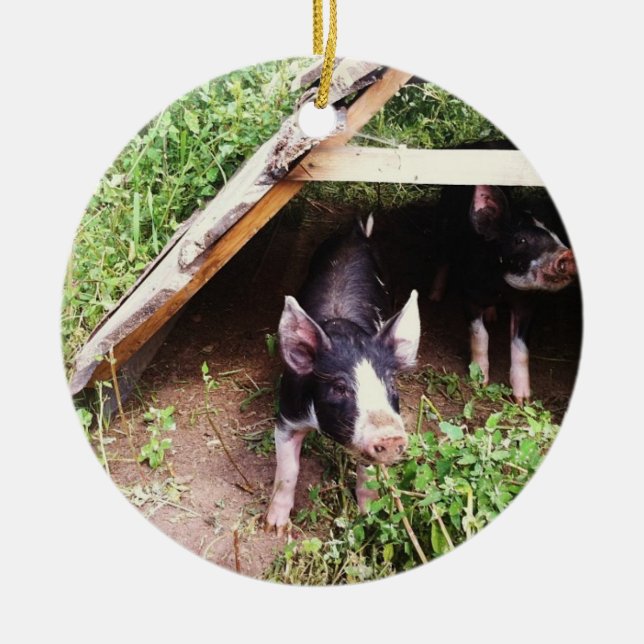 Ornamento del cerdo del navidad (Frente)